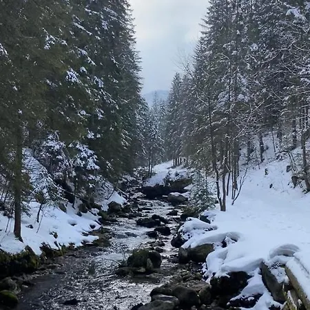 Alpaka Apartments Zakopane , Spa, Jacuzzi, Sauna I Masaze, Kominek , Alpakarium, Duzy Taras, Wifi I Parking Apartman *